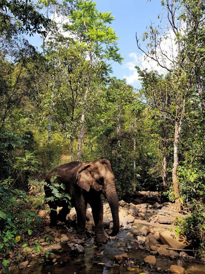 Srey Leap Homestay Banlung Kültér fotó