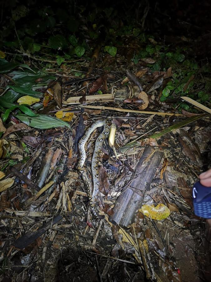 Srey Leap Homestay Banlung Kültér fotó